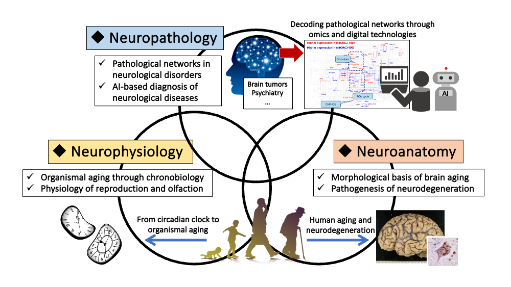 Research Framework of Integrative Neuroscience